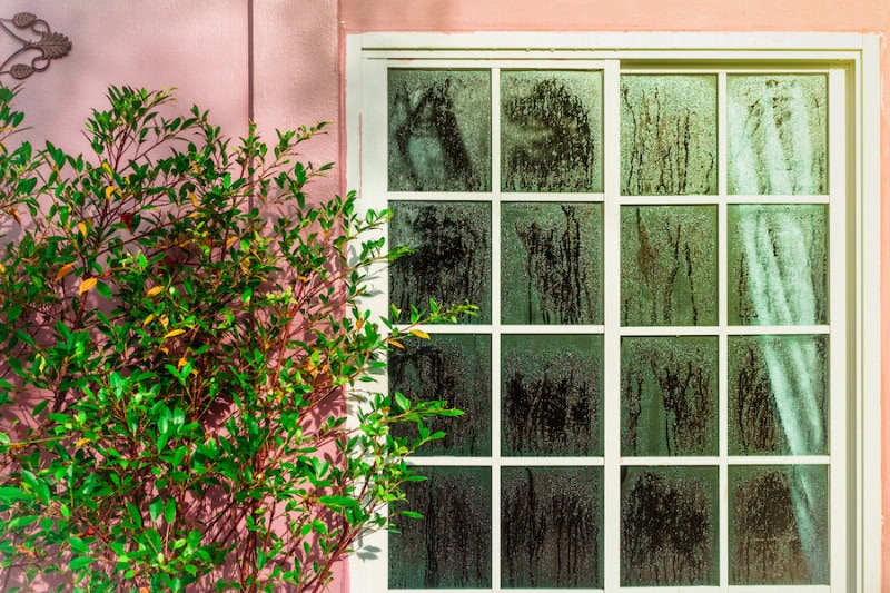 Controlling Humidity in Your Home