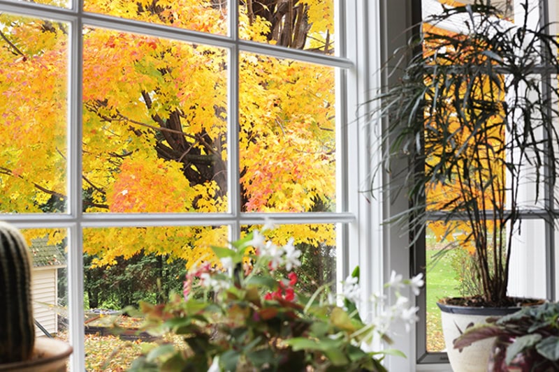5 Tips to Improve Your Indoor Air Quality This Fall. Photo of a window in the living room or kitchen, looking out to an autumn view.